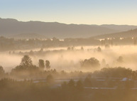 Misty Burnaby morning